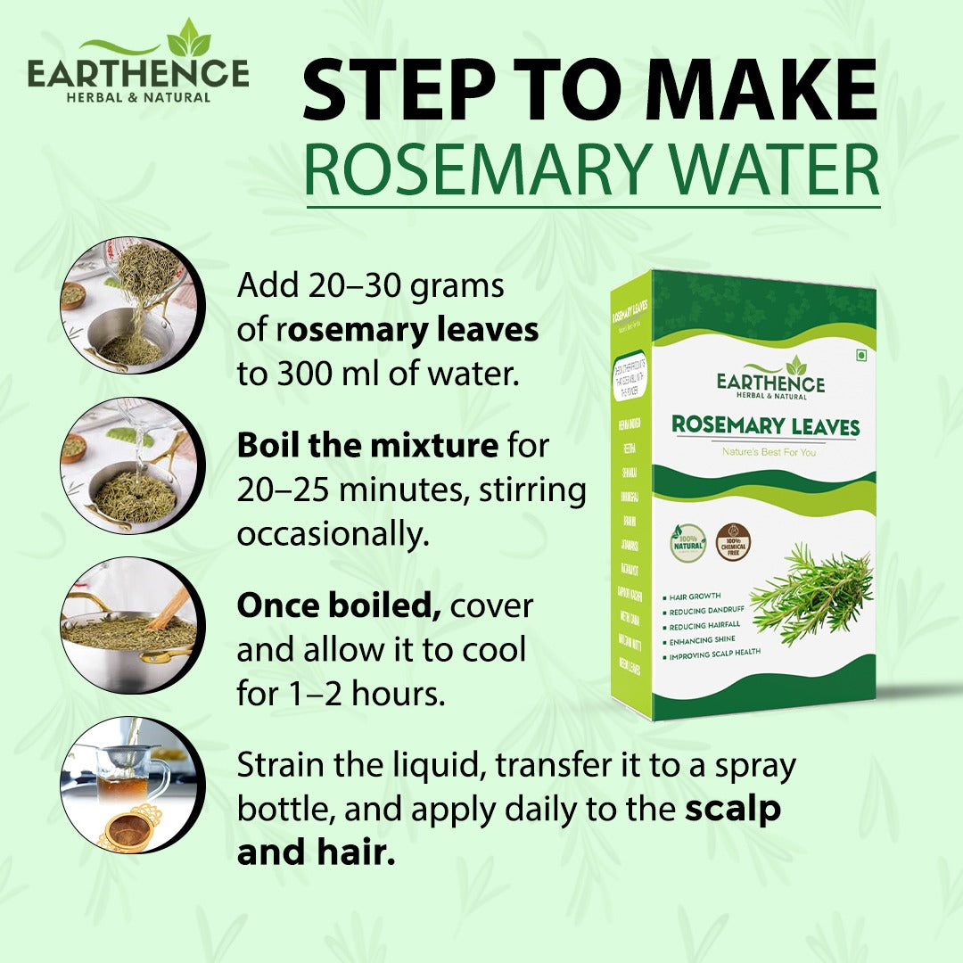 Earthence Rosemary Leaves 100g | Dried Rosemary Leaves Pure and Natural (100g)