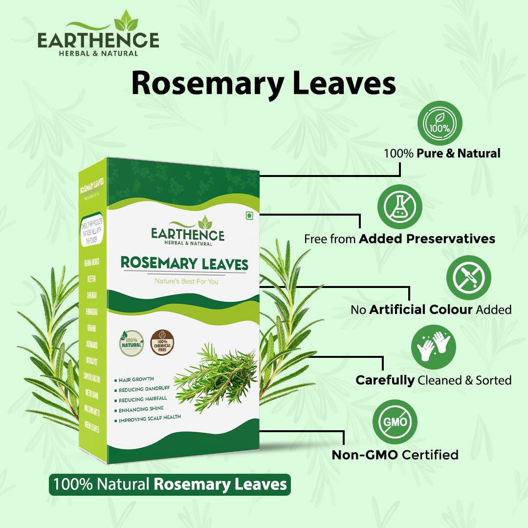 Earthence Rosemary Leaves 100g | Dried Rosemary Leaves Pure and Natural (100g)